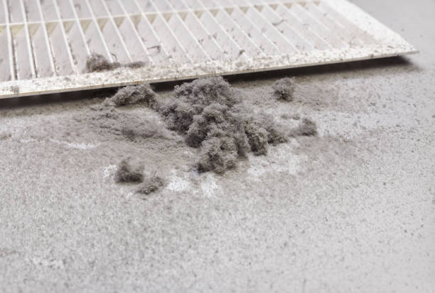 Best Local Air Duct Cleaning Services  in Bulverde, TX