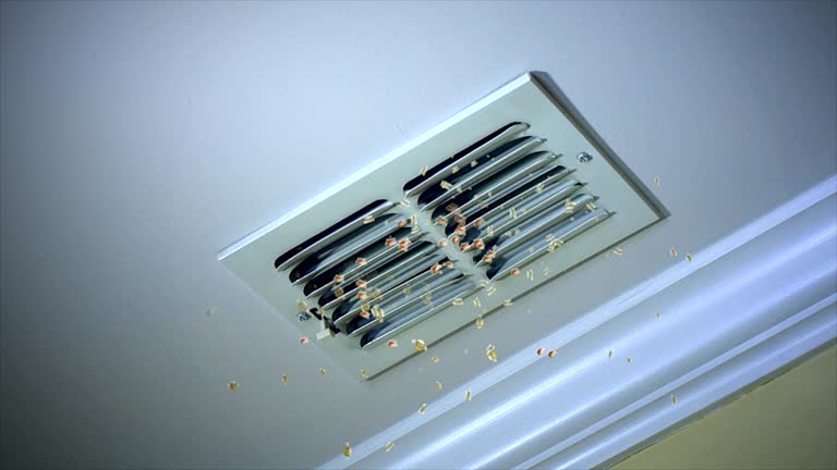 Best Air Duct Cleaning Near Me  in Bulverde, TX