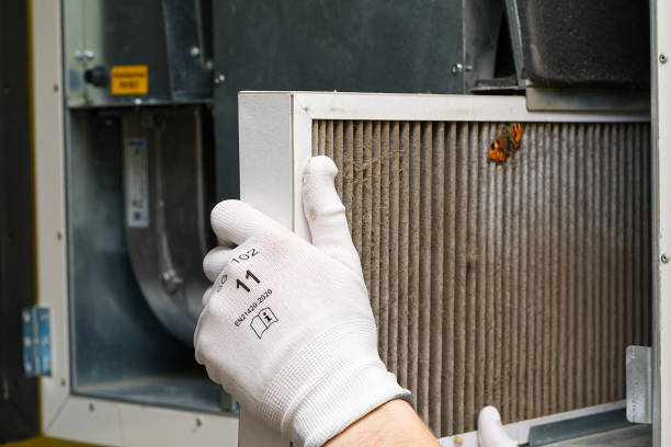 Best Home Air Vent Cleaning  in Bulverde, TX