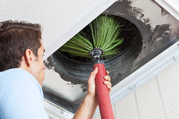 Best Professional Duct Cleaning Services  in Bulverde, TX
